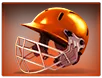 Cricket King 18