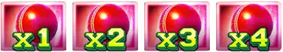 Cricket King 18