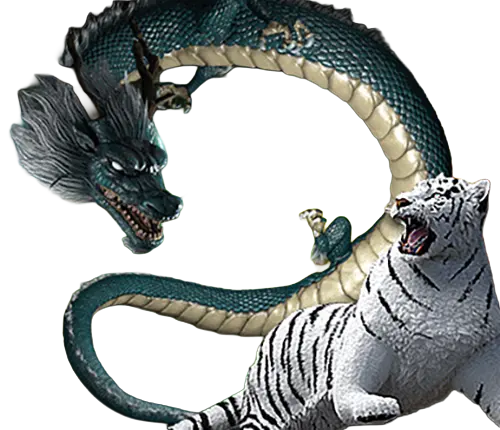 DragonTiger thep1688 เทพ1688 SIMPLEPLAY