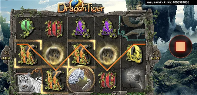 DragonTiger thep1688 เทพ1688 SIMPLEPLAY