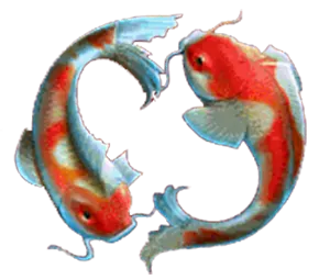 FEI LONG ZAI TiAN-JOKER GAMING-JOKER123-โจ๊กเกอร์เกม-THEP1688