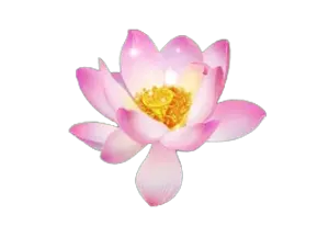 Moon Goddess Joker-JOKER GAMING-JOKER GAME-JOKER SLOT-โจ๊กเกอร์123- THEP1688