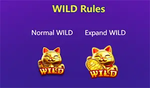 SUPER NEKO จากYGR สล็อตYGR