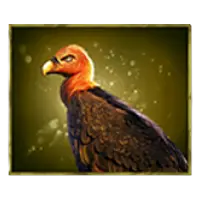 The-Border-Nolimit-City