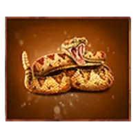 The-Border-Nolimit-City