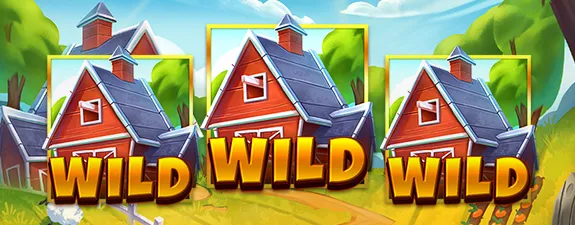 Rooster Gold Hold & Win