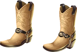 oldwest_boots