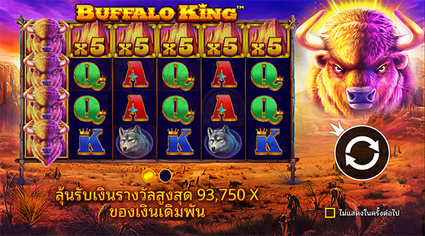 Buffalo King