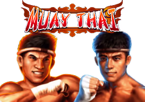 SUPER MORE CASH Ⅱ สล็อตYGR ค่ายYGR เกมสล็อต