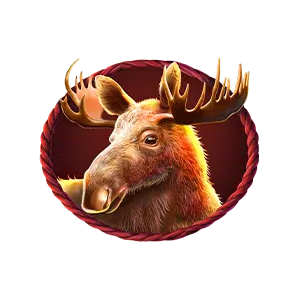 Buffalo King