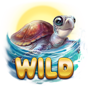 Turtle_Paradise_10