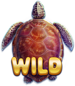 Turtle_Paradise_12