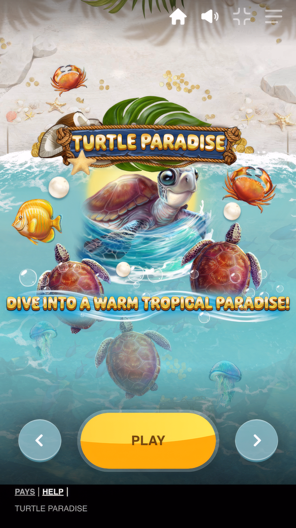 Turtle_Paradise_26