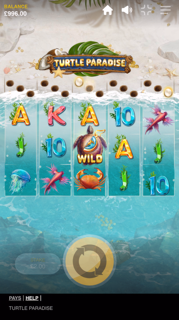 Turtle_Paradise_27