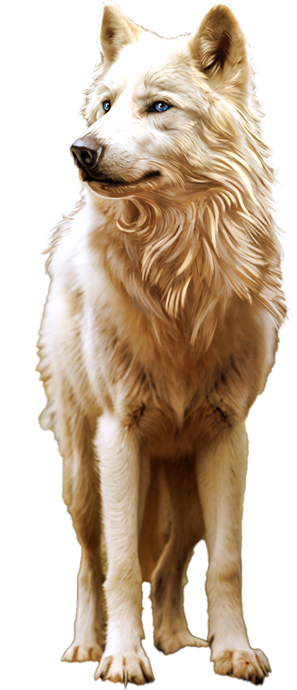 Wolf_Stacks_Megaways_18