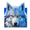 Arctic_Wolf_Triple_Riches