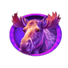 Arctic_Wolf_Triple_Riches
