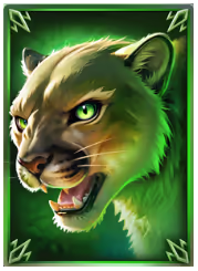 BUFFALO FREEDOM DOUBLEMAX YGGDRASIL GAMING สล็อตYGGDRASIL GAMINGWILDFIGHT RUSHINGWILDS