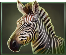 Savannah_Pride_10