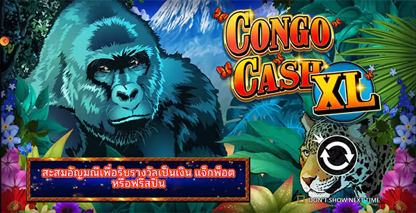Congo Cash XL