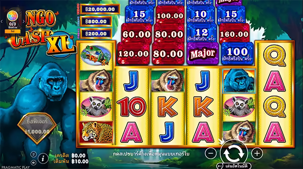 Congo Cash XL