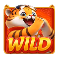 Tiger’s_Treasures