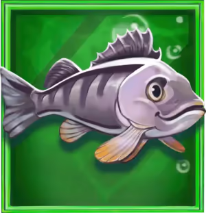 Bass Boss Megaways