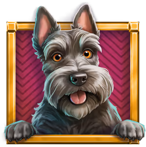 MONOPOLY Money Magnate