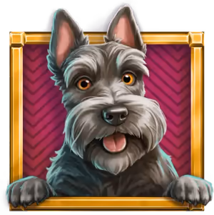 MONOPOLY Money Magnate