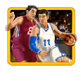 Basketball_Star_Wilds